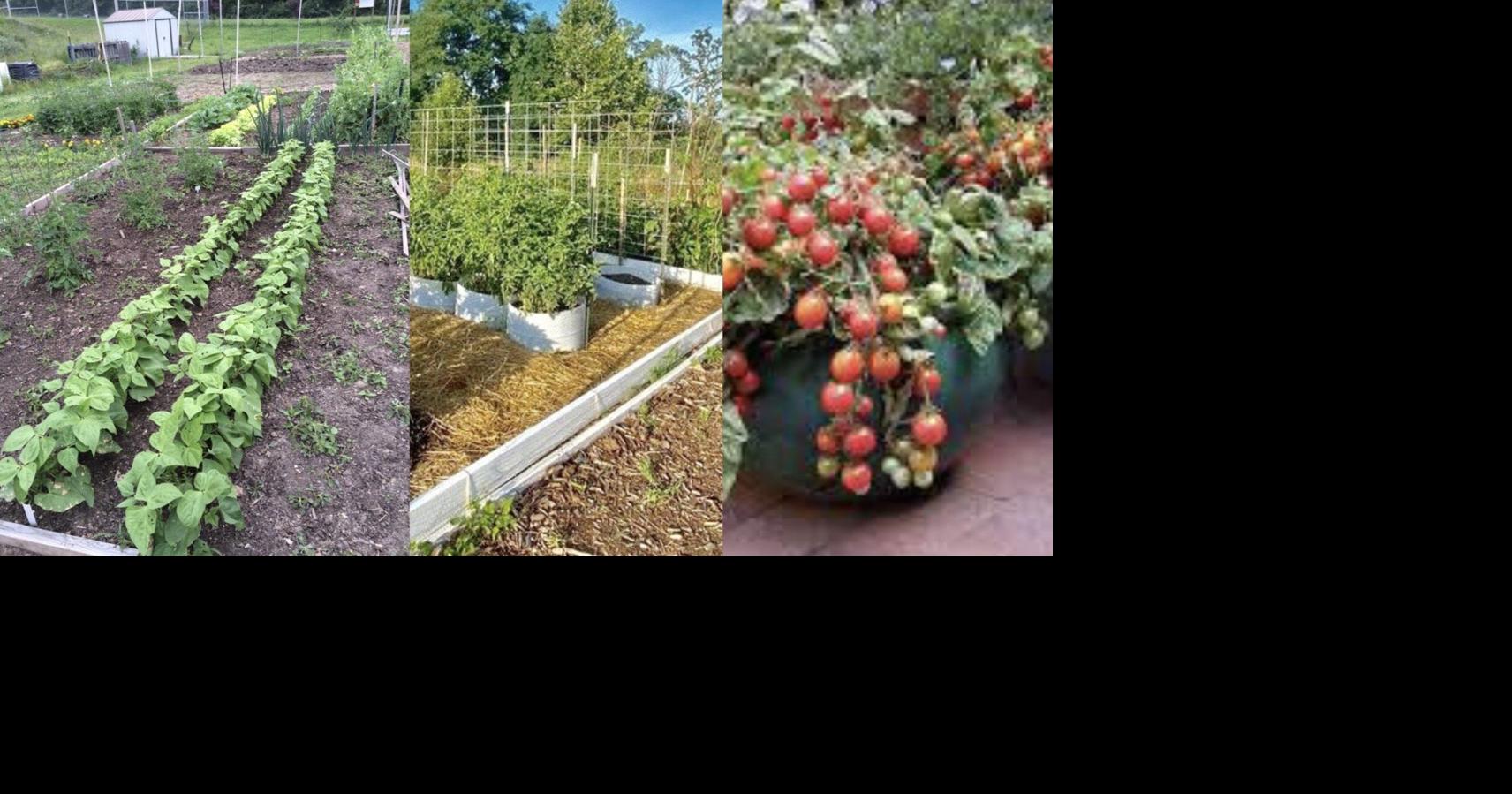 Vegetable gardening class to be held July 20 Our Community