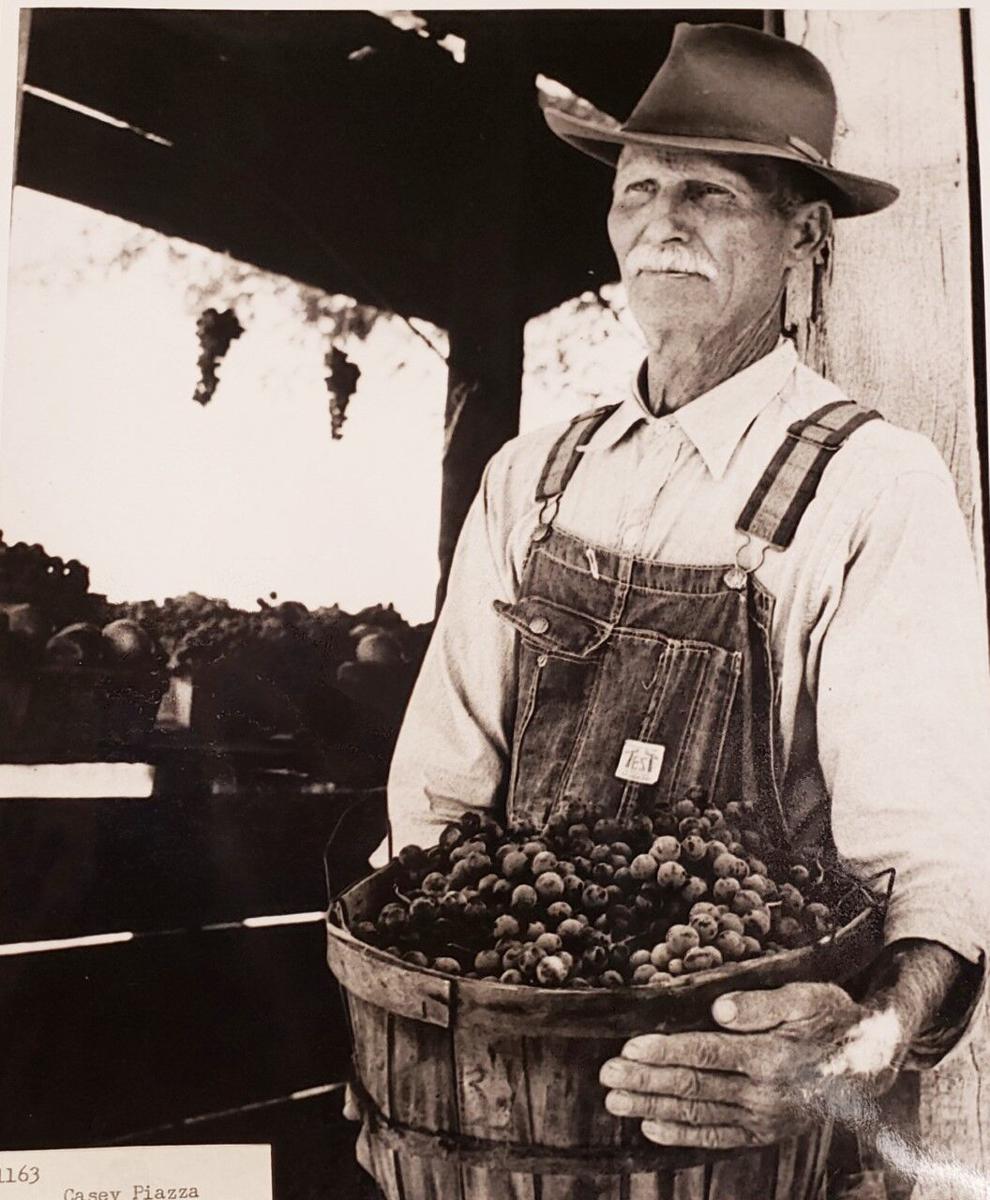 St. James Grape and Fall Festival will celebrate its past, present and