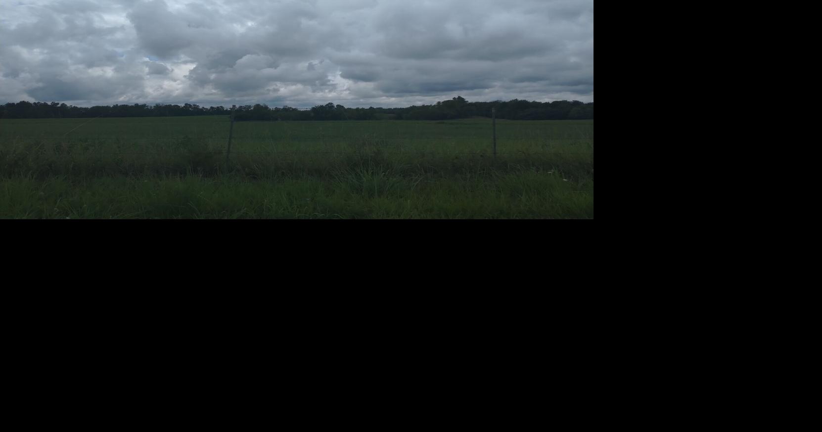 Rolla weather data at 730 a.m. Thursday, Aug. 10 Weather