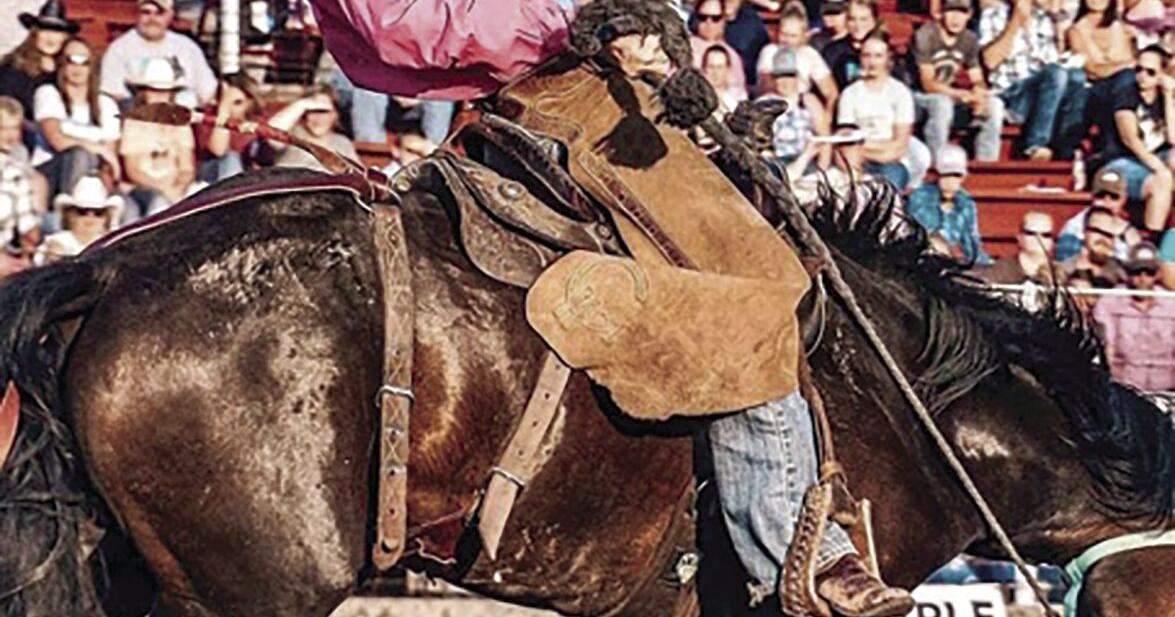 Rolla bronc rider headed for national rodeo finals | The Focus Insider ...