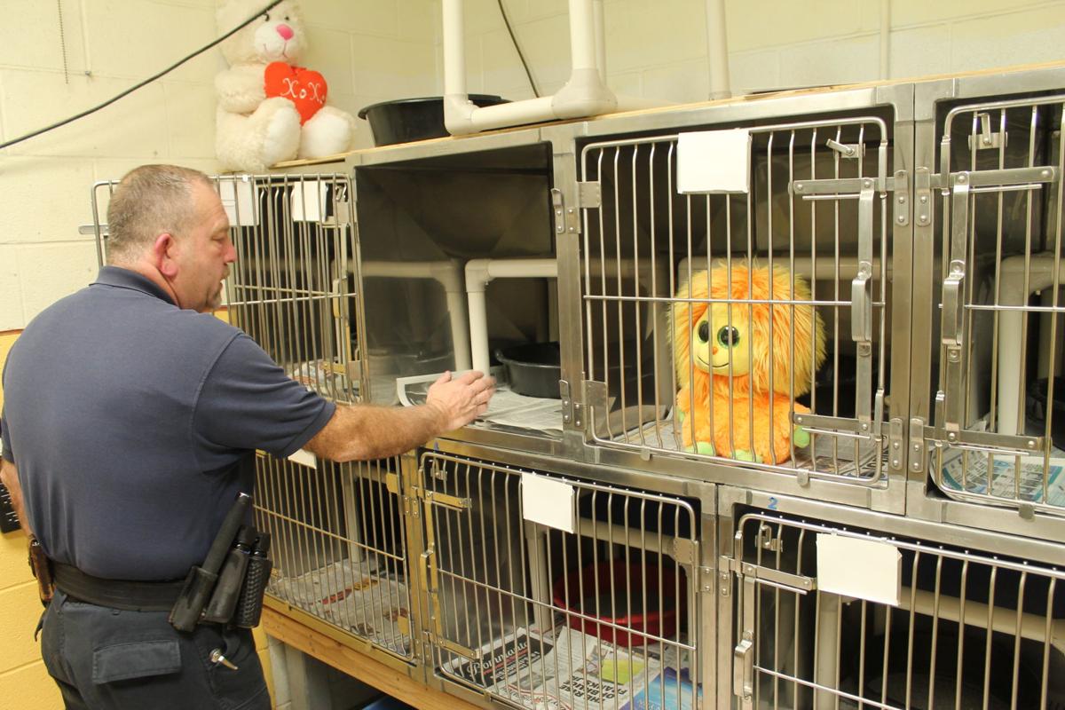 Fundraising Campaign For New Animal Shelter Over Halfway To Goal