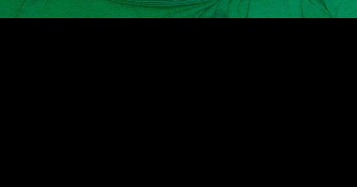 David Wayne Pound Obituaries