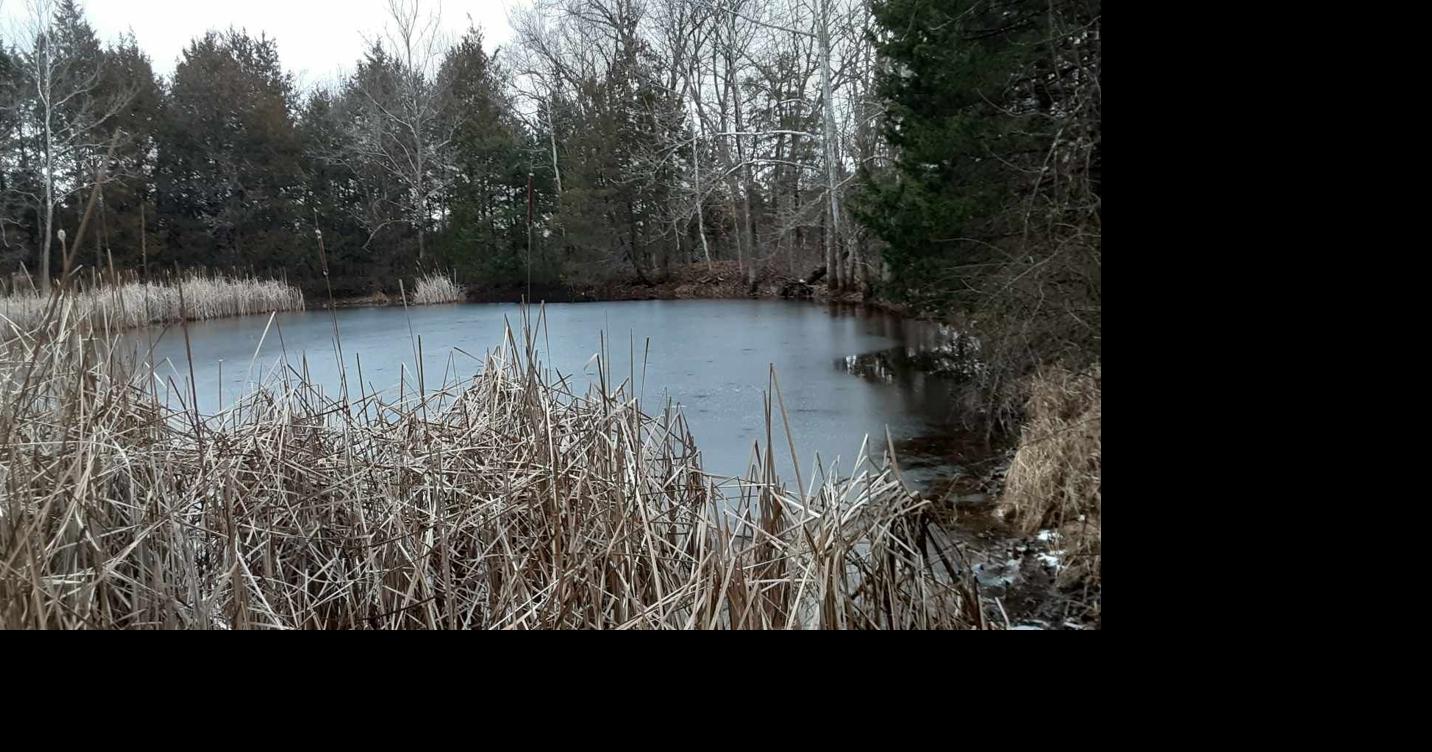 Rolla weather data at 730 a.m. Jan. 1112 Weather