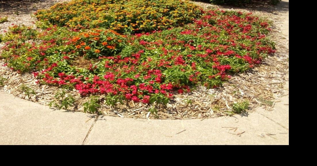 Rolla weather data at 730 a.m. Aug. 2627 Weather