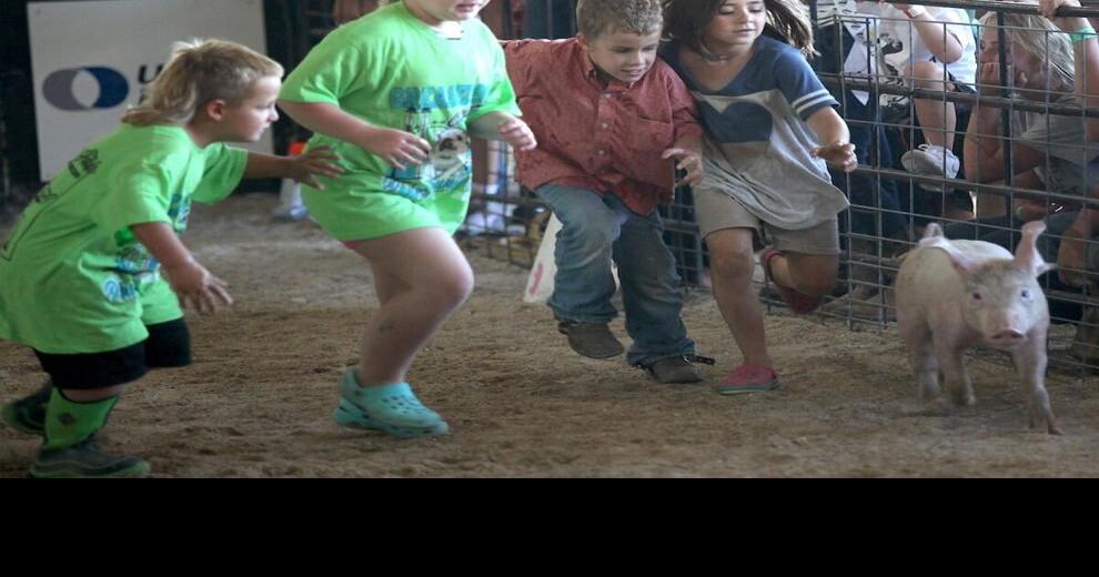 Phelps County Fair set for Aug. 57 The Focus Insider