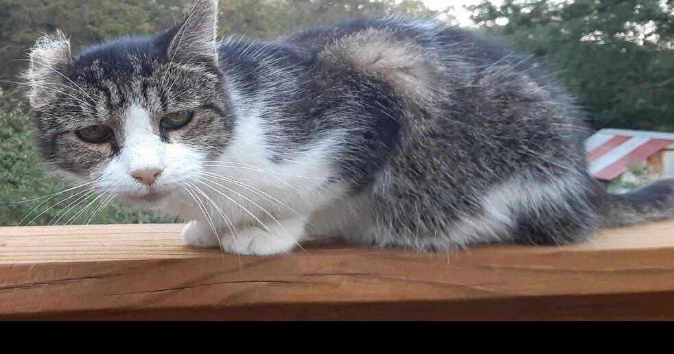 Rolla weather data at 730 a.m. Friday, Oct. 6 Weather