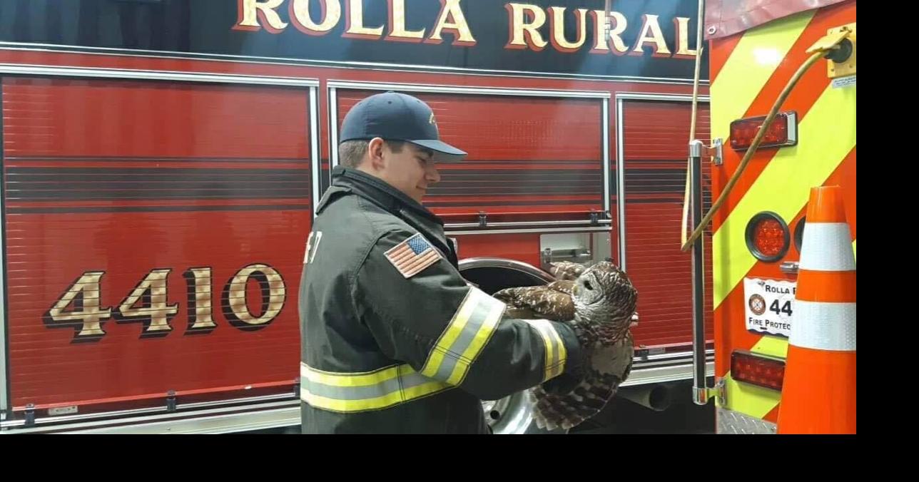 What a hoot! Rolla Rural Firefighters rescue owl News