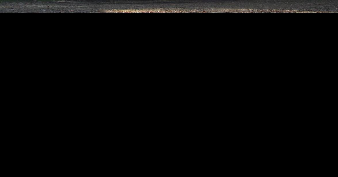 HISTORIC SITES OF PHELPS COUNTY Maramec Iron Works District The