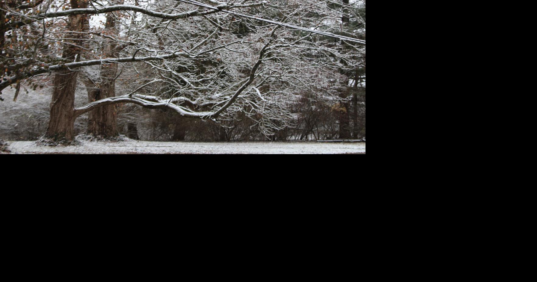 Rolla weather data at 730 a.m. Friday, Dec. 29 Weather