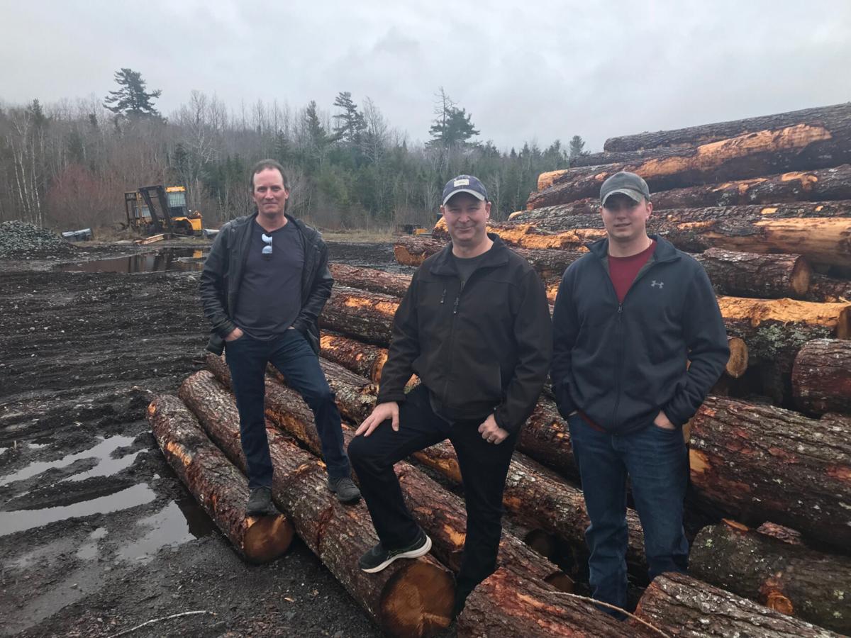 Saw mill operators bemoan loss of pulp mill’s saw log supply