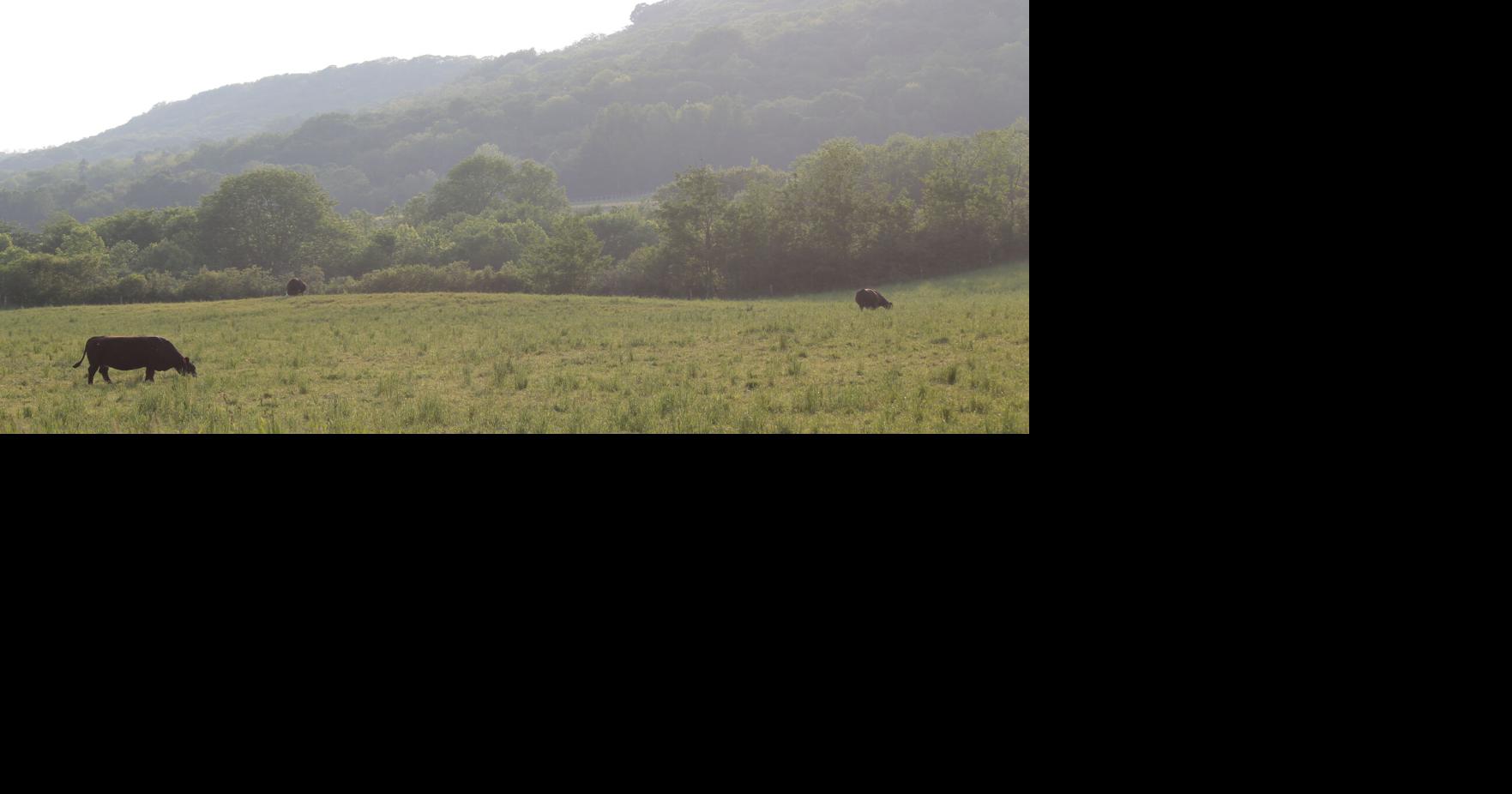 Land acquisition program good first step: farming sector