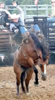 Pike County Fair kicks off with Outlaw Rodeo