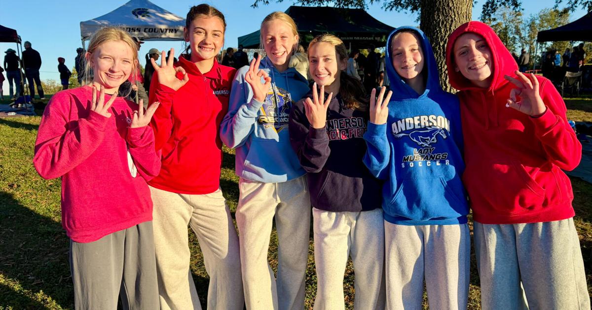 Cross For Lettering Lady Bearcat team qualifies for state cross country | The Anderson News ...
