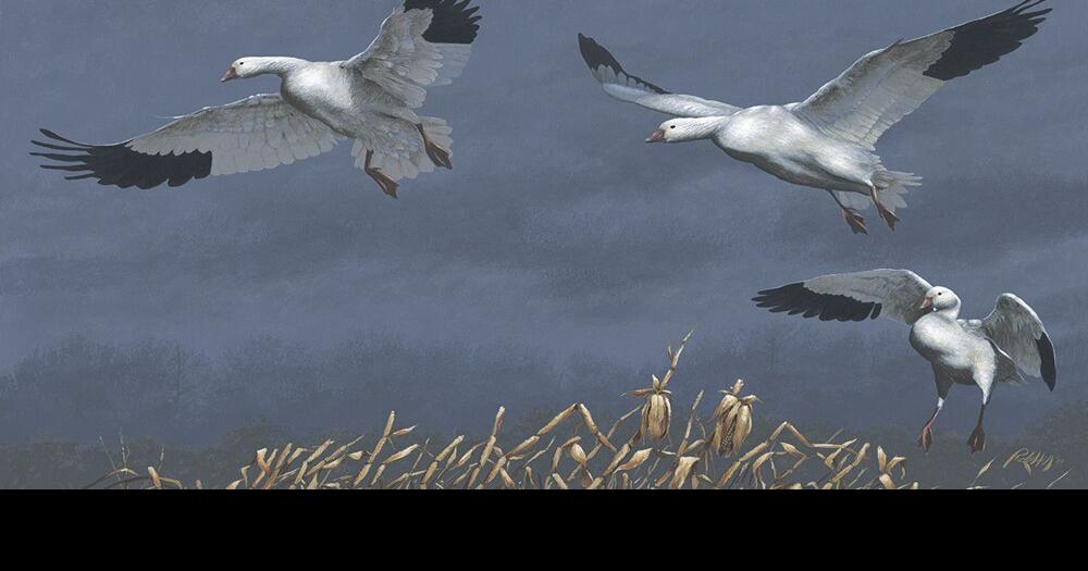 Waterfowl seasons open Thanksgiving Day Henry County Local