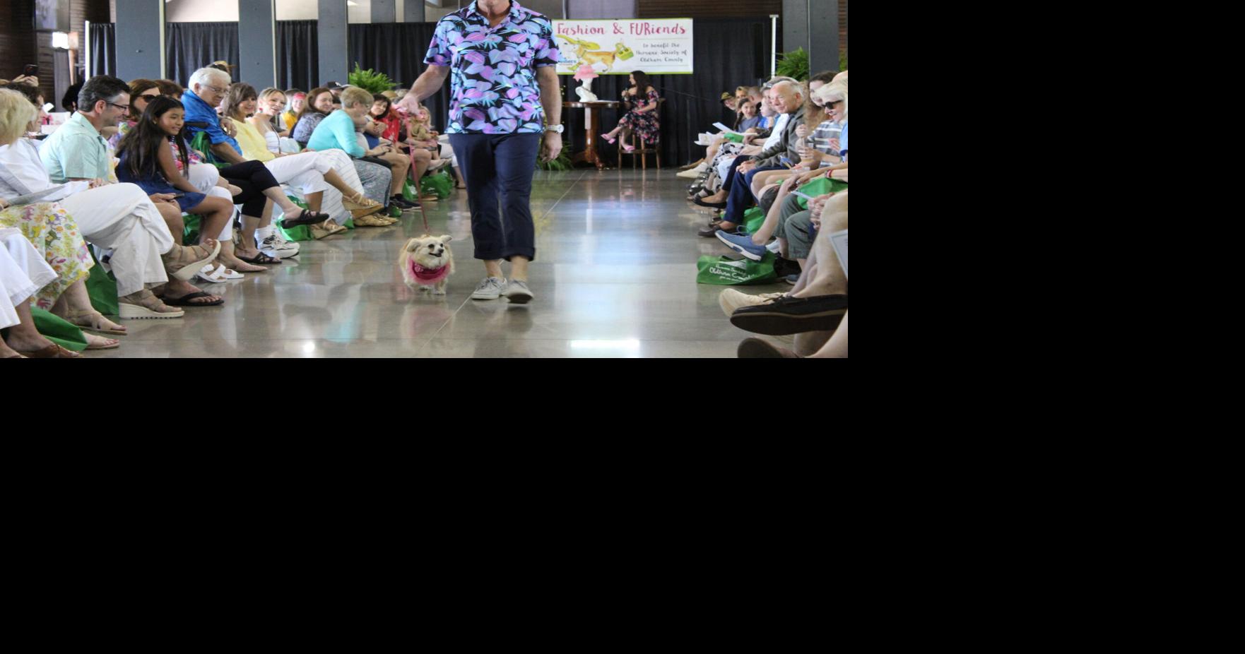 Fashion for FURiends | Oldham Era | pmg-ky1.com