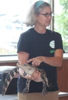 Kentucky Reptile Zoo brings lifestyles of the sleek and scaly to library