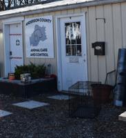 Anderson County Animal Control reports dog food theft
