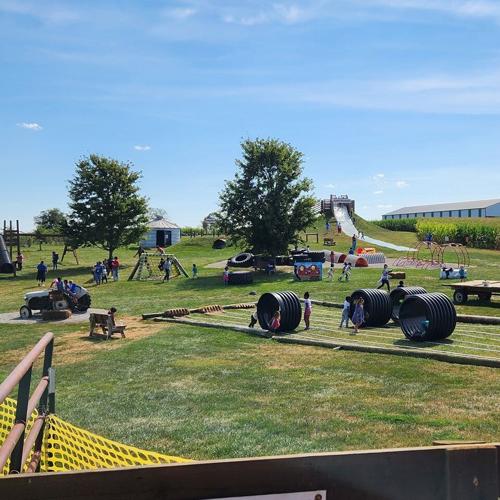 Mulberry Orchard Offers Wide Variety of Food and Fun! Sentinel News