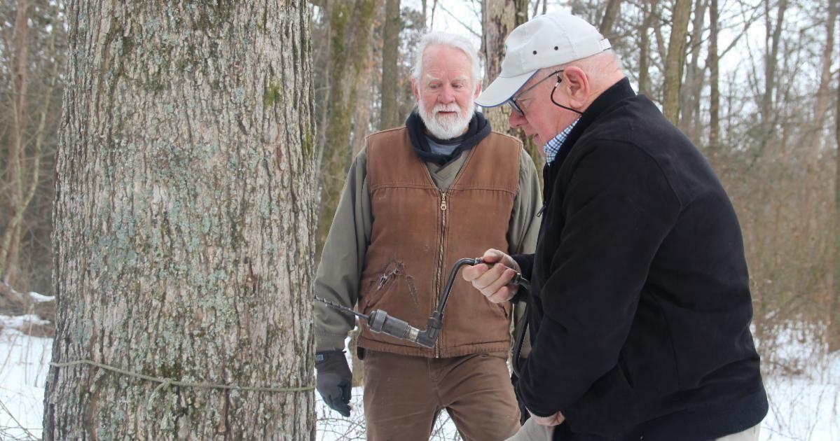 Maple syrup production making a resurgence in Kentucky