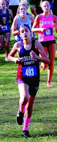 Anderson cross country has record-setting year | The Anderson News ...