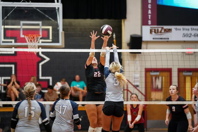 Lady Cats sweep Bulldogs in home opener