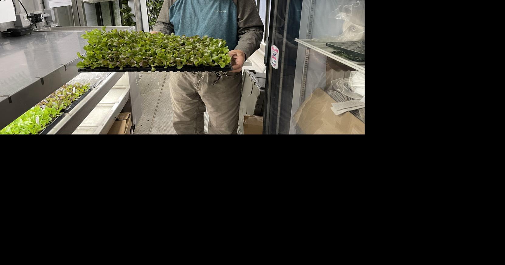 Capstone Farms welcomes Kosovo visitors | HC local News | pmg-ky1.com
