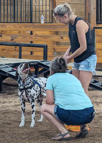 Sat fair dog 10 | | pmg-ky1.com