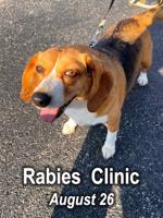 Shelby County Health Department set to host rabies clinic