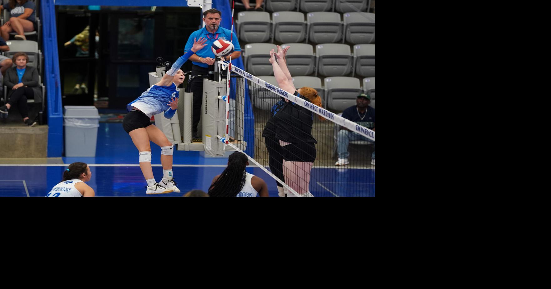 Warriors survive quarterfinals test, reach region semis | Henry County ...