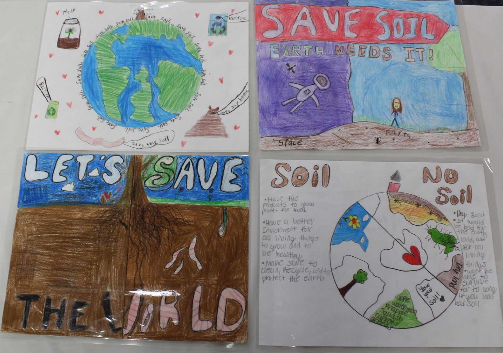 Fairview Park student wins state soil and water conservation poster contest  - cleveland.com