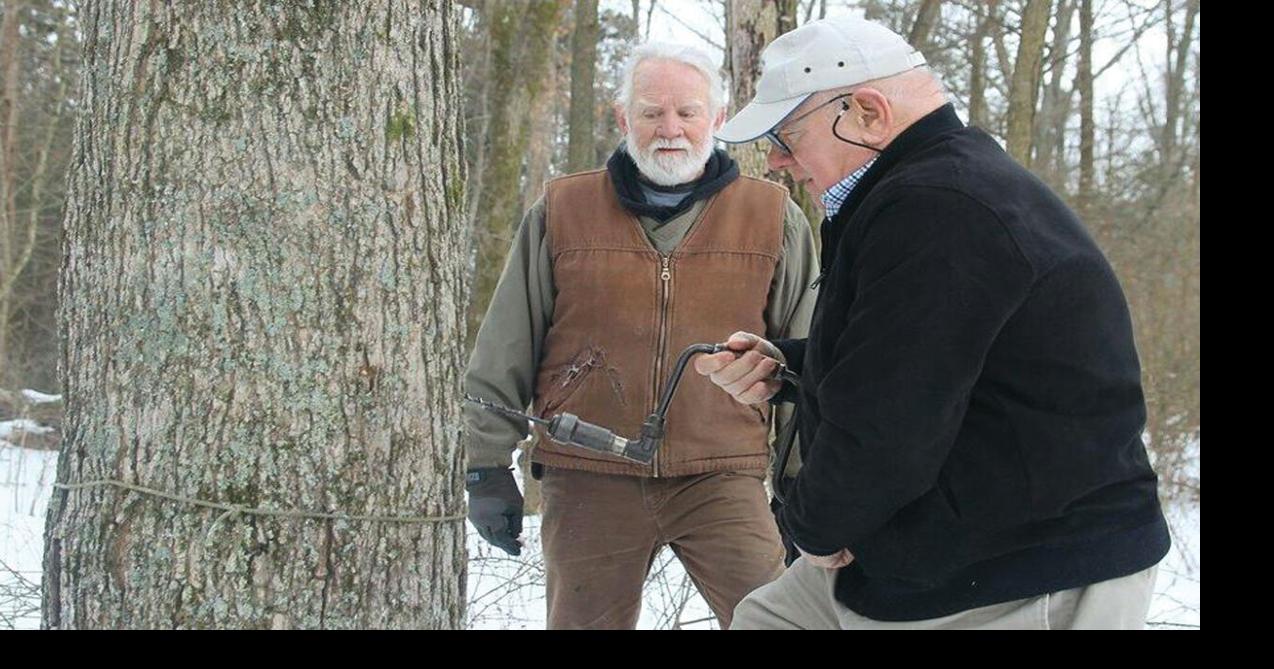 State taps into growth of maple syrup harvest