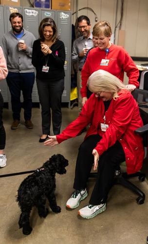 Happy birthday! UofL Hospital's trauma therapy dog turns 2