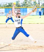 Lady Hawks fall to Green County in district final