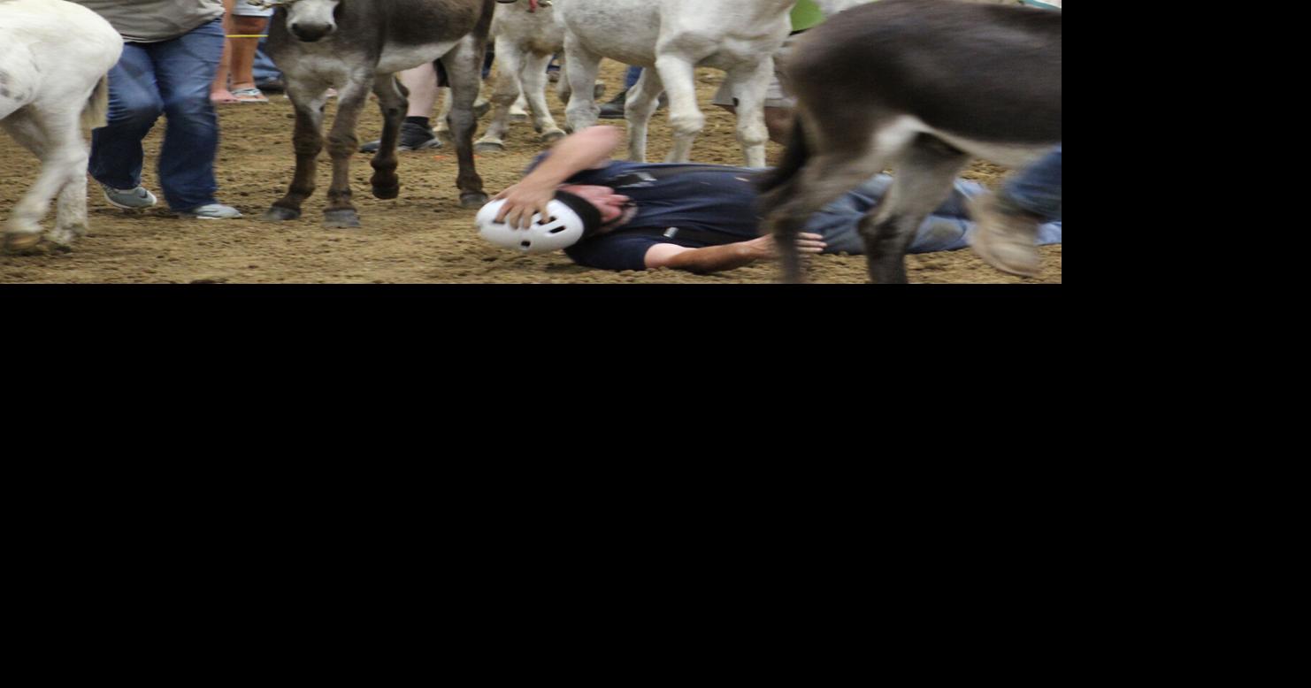 Casey County Fair opens Saturday News