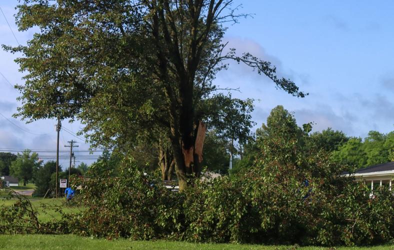 Magnolia suffers storm damage News