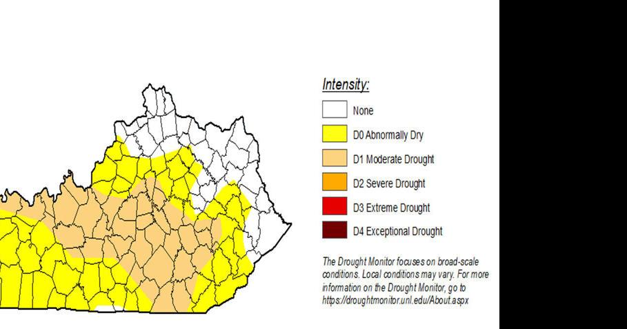 Marion, much of Kentucky in drought conditions | News | pmg-ky2.com