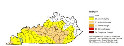Marion, much of Kentucky in drought conditions | News | pmg-ky2.com