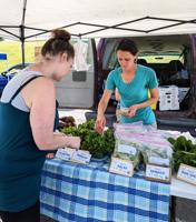Farmers' Market opens