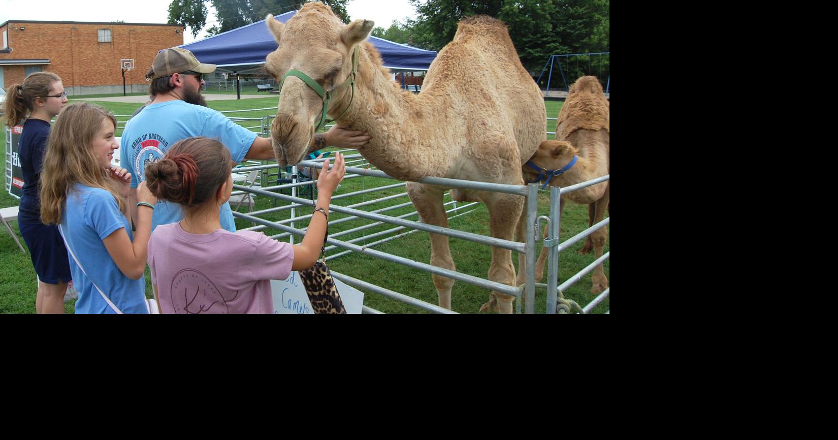 Iron Horse Festival returns this weekend in New Haven News