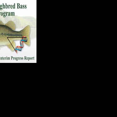 KFW biologists identify genetic markers linked to enhanced size potential in native largemouth bass