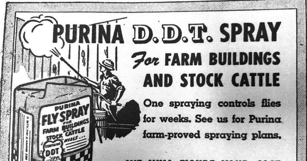 Once seen as miracle solution, DDT was used widely
