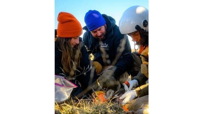 UK, Fish and Wildlife, study chronic wasting disease