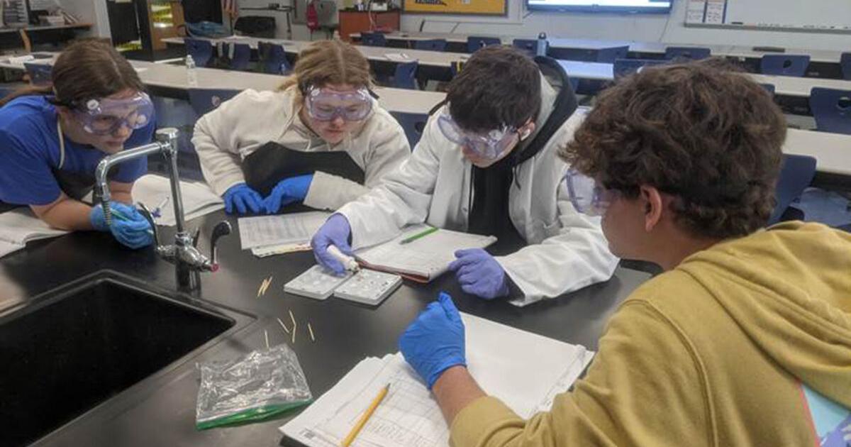 Biomedical science pathway at Grant County High School | | pmg-ky3.com