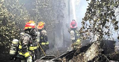 High Point responds to brush fire | Progressive Journal | pmg-sc.com