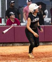 Softball season ends for county teams