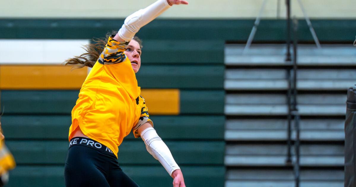 Lady Knights fly past Eagles