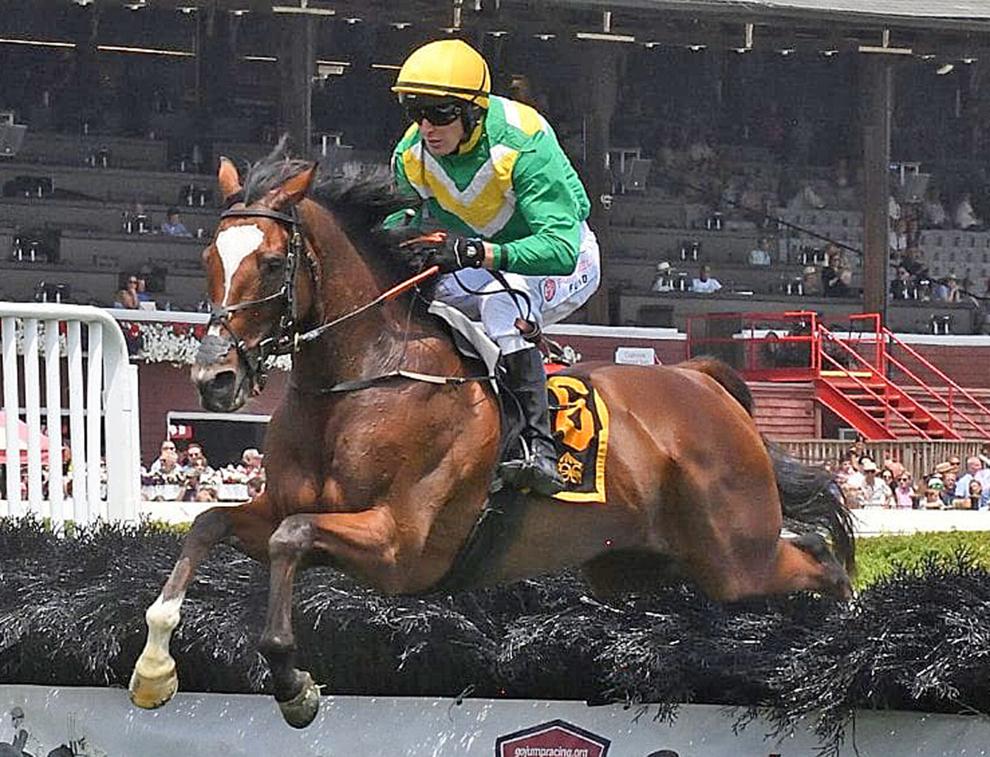 McTigue flies home to win O'Brien in course-record time