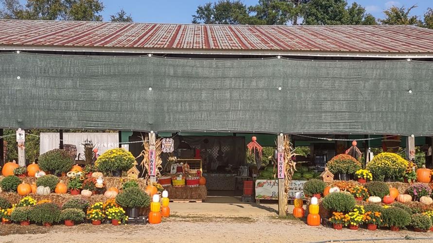 Pageland celebrates fall season Progressive Journal