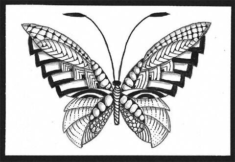 Zentangle comes to Lancaster, Features