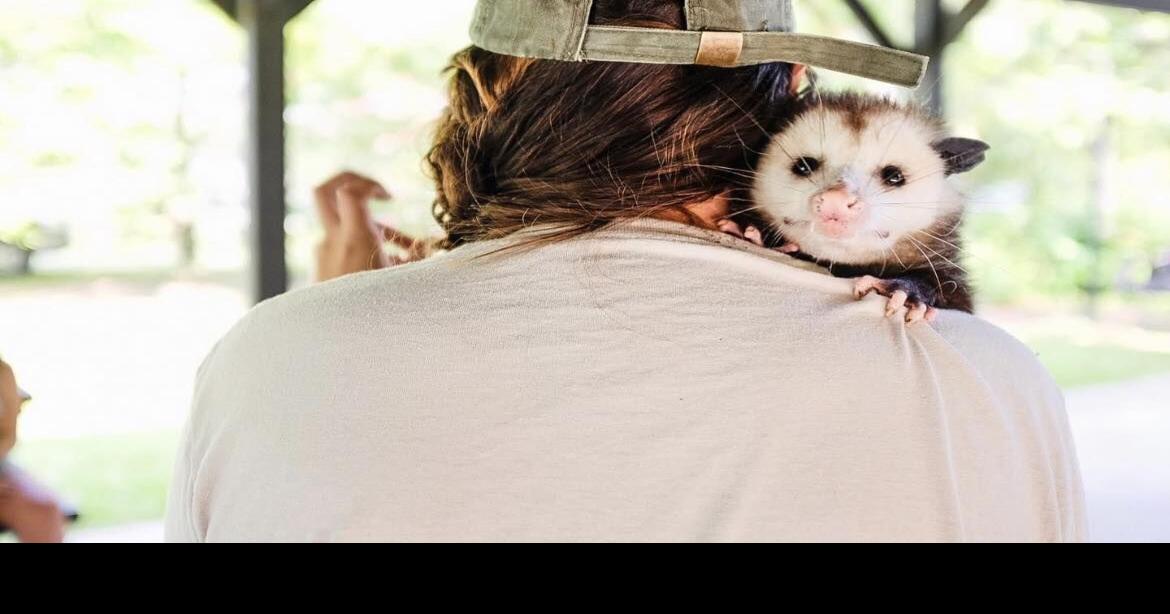 Black Creek Wildlife News